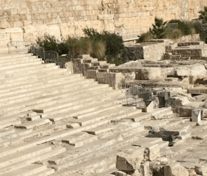Taste See Go Tell Become an active participant on Tour Israel 2023