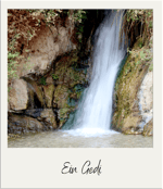 Ein Gedi